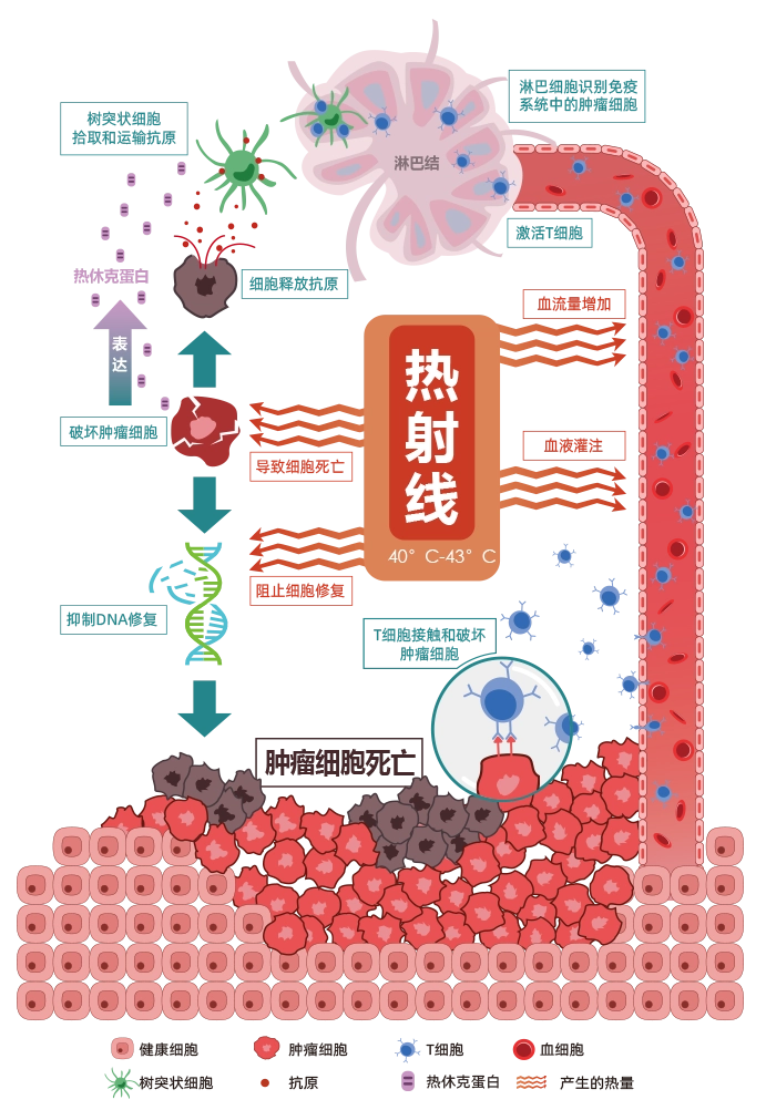 图7